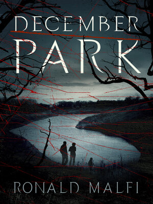 cover image of December Park